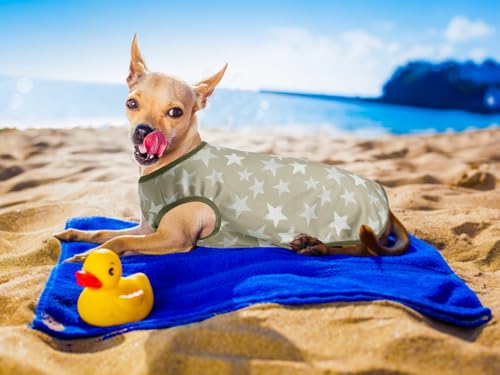 Use FW84LR32 for $9.99 Dog Cooling Shirt - Image 4