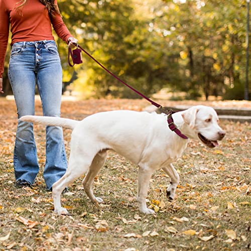 25% Off Wisedog Waterproof Dog Collar & Leash Set - Image 7