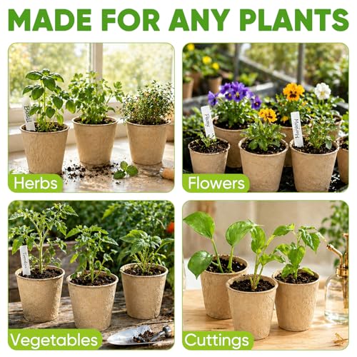60-Pack Peat Pots for Seed Starting at 34% Off - Image 5