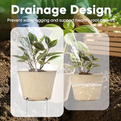60-Pack Peat Pots for Seed Starting at 34% Off - Image 6