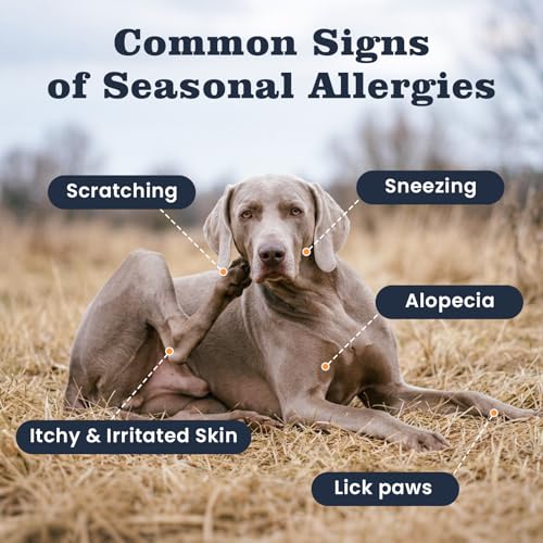 8% Off Dog Allergy Chews – 200 Treats for Itch Relief - Image 3