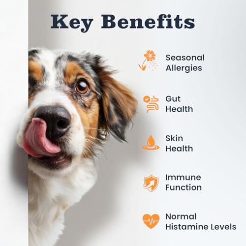 8% Off Dog Allergy Chews – 200 Treats for Itch Relief - Image 4
