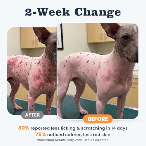 8% Off Dog Allergy Chews – 200 Treats for Itch Relief - Image 7
