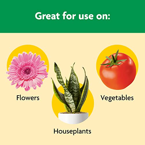 43% Off Miracle-Gro Shake 'N Feed Plant Food - Image 6