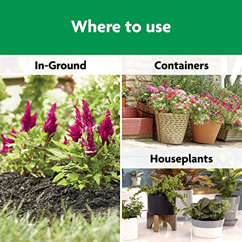 43% Off Miracle-Gro Shake 'N Feed Plant Food - Image 7